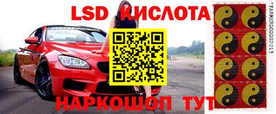 тгк Дубна