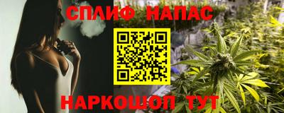 тгк Дубна