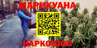 стаф Донецк
