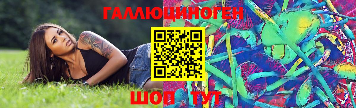 Псилоцибиновые грибы прущие грибы  где найти   Псилоцибиновые грибы прущие грибы  Муром  Вход с VPN 