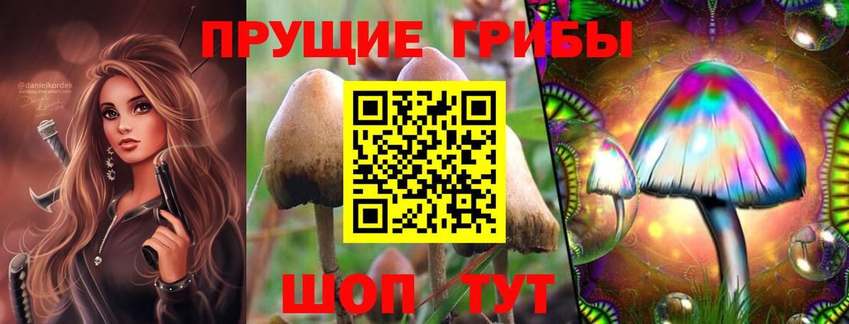 Галлюциногенные грибы Magic Shrooms Муром